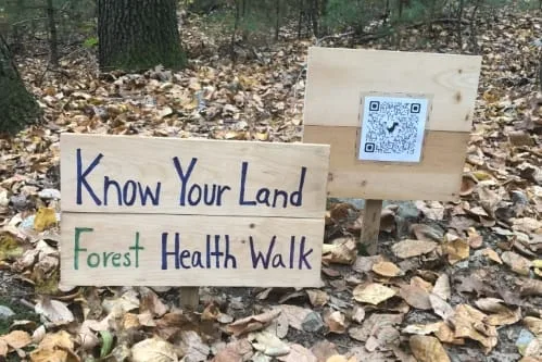 Featured image for “Know Your Land: Forest Health in Springtime”