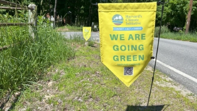 Featured image for “We Are Going Green Flags”