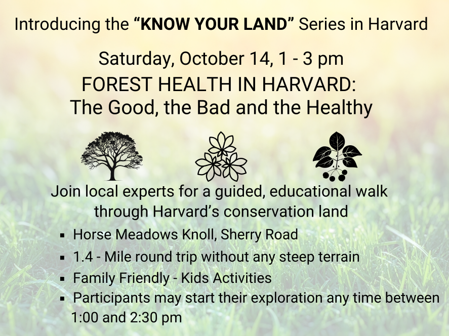 Featured image for “Know Your Land: Forest Health in Harvard – the Good the Bad and the Healthy”