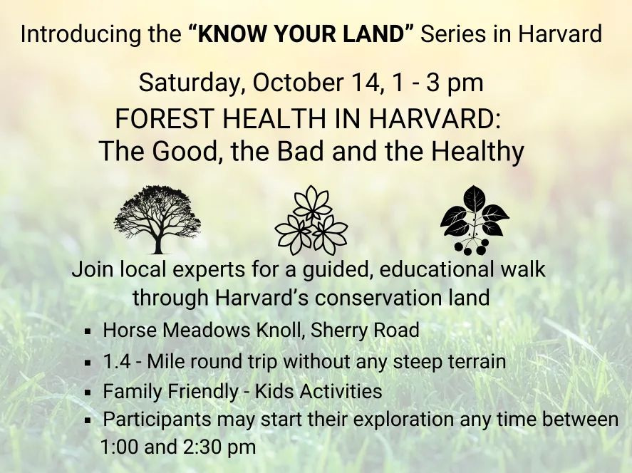 Featured image for “Know Your Land: Forest Health in Harvard – the Good the Bad and the Healthy”