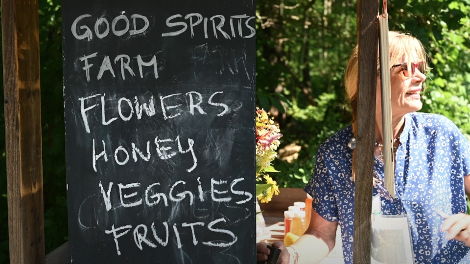 Featured image for “Harvard’s Small Farms:  Spotlight on Good Spirits Farm”